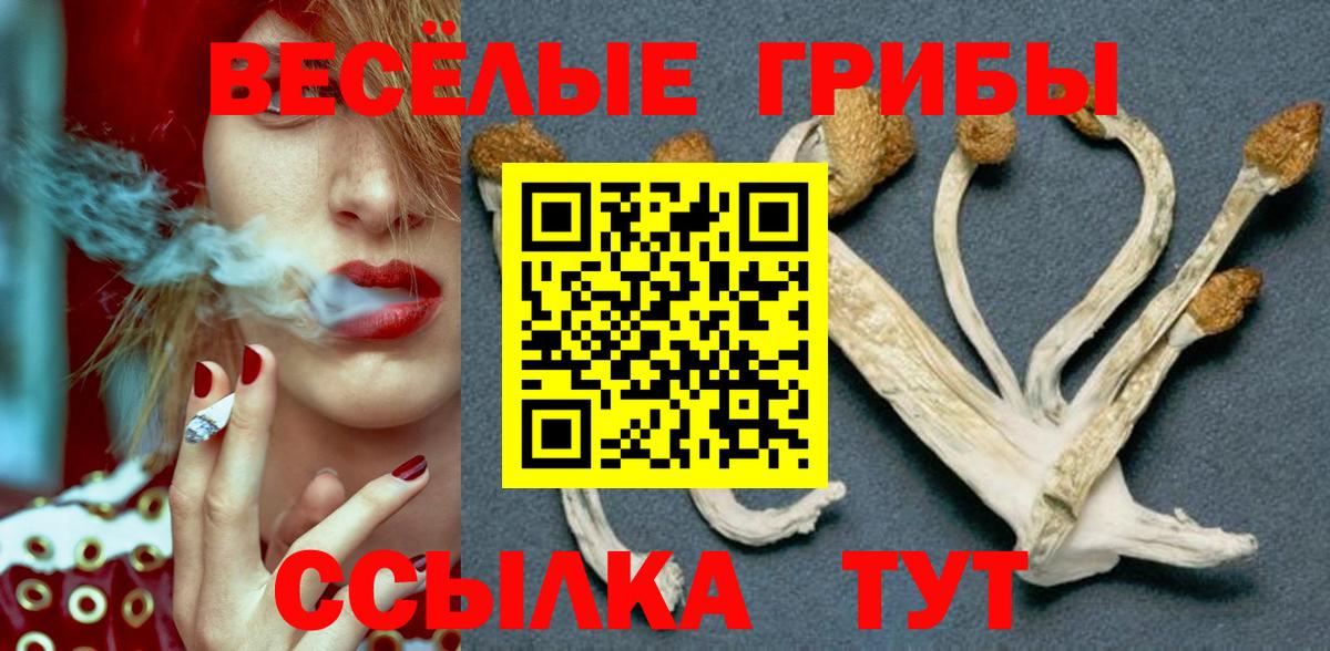 Alpha PVP Озёрск