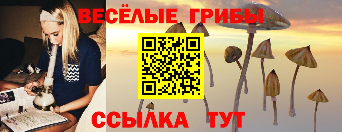 Галлюциногенные грибы ЛСД Озёрск